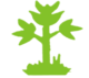 Sine Pest Control Services ( Govt. Approved)